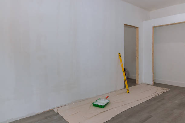 Reliable Brodheadsville, PA Mold Removal Solutions