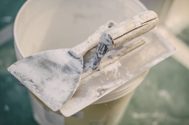Best Mold Damage Restoration  in Brodheadsville, PA