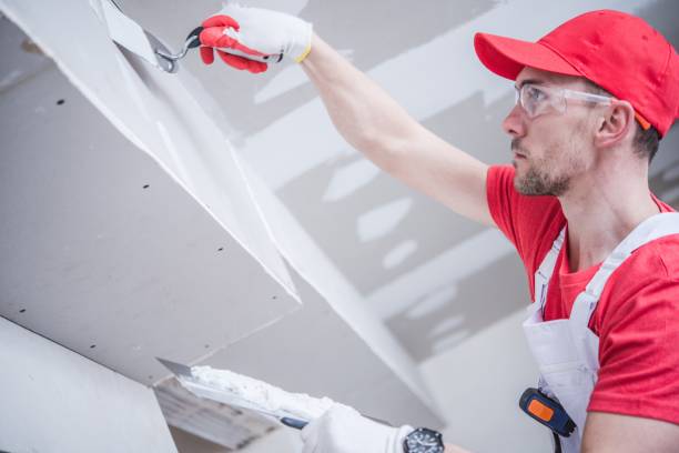 Mold Documentation for Insurance Claims in Brodheadsville, PA